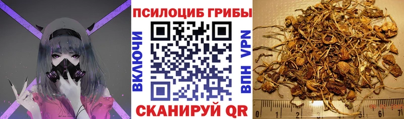 Галлюциногенные грибы Psilocybine cubensis  Спасск-Рязанский 